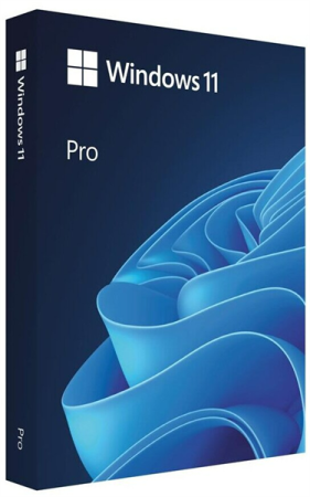 Win 11 Pro 64Bit Eng Intl 1pk DSP OEI DVD_