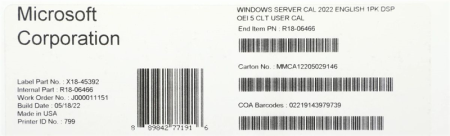 Windows Server CAL 2022 English 1pk DSP OEI 5 Clt User CAL.